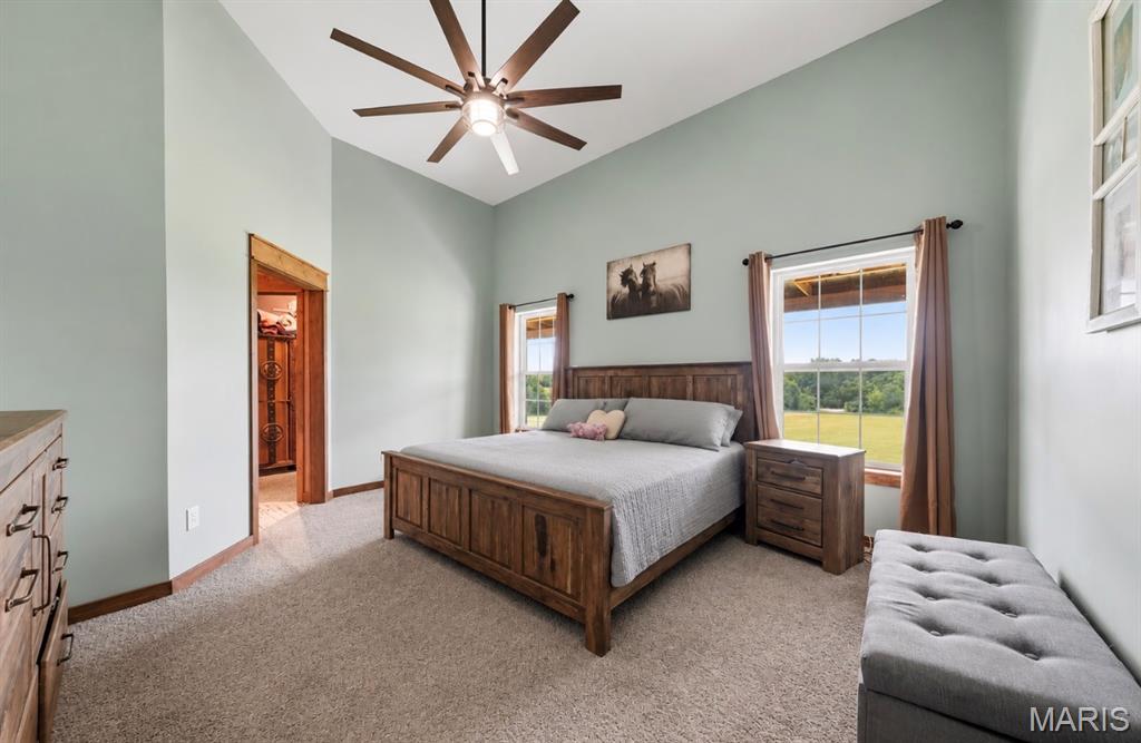 29601 Bueltmann Road Jonesburg, MO 63351 - Photo 4 of 73