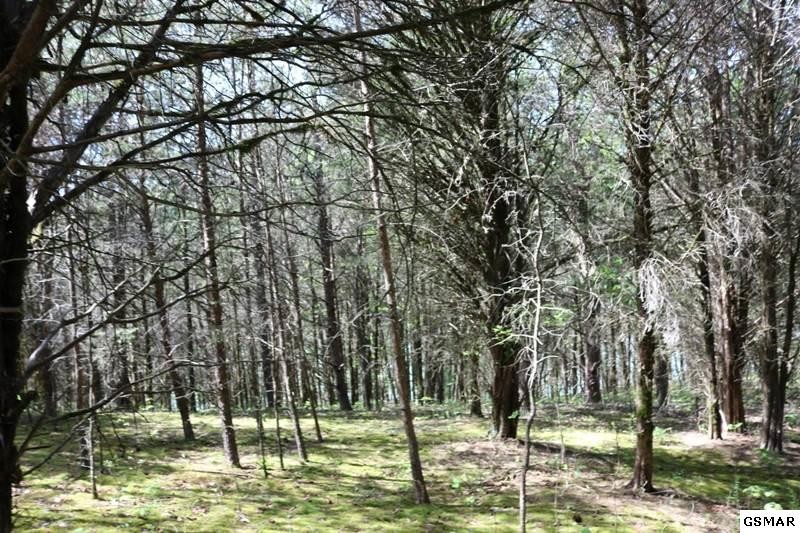 0 Lot 35 Buck Horn Road Sevierville, TN 37876 - Photo 22 of 30
