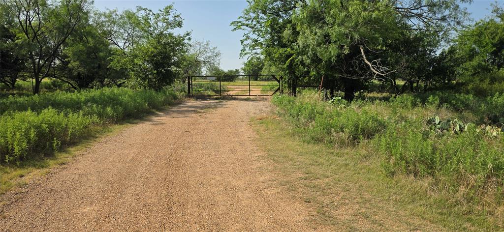 Tbd Nash Road Jacksboro, TX 76458 - Photo 6 of 28 Gravel access road with a metal gate and dense natural foliage