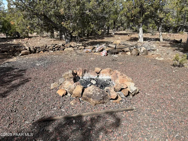 a view of a dry yard with lots of green space