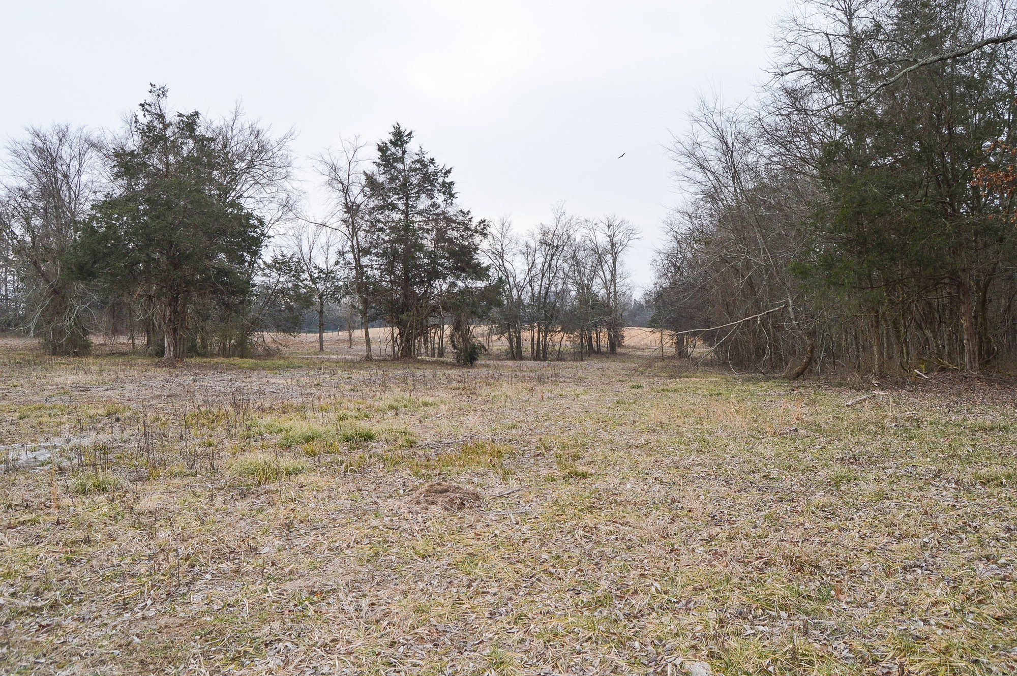 447 Pepper Hill Road Bell Buckle, TN 37020 - Photo 23 of 58 Gallery Image 23