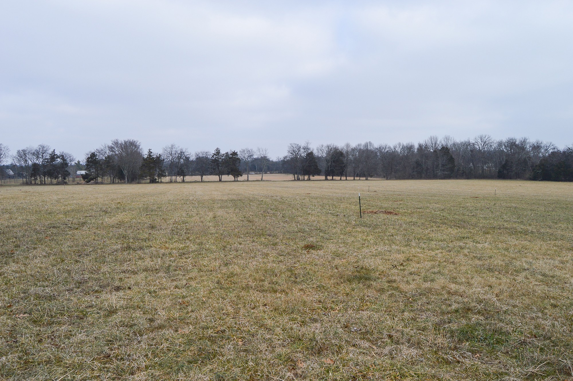447 Pepper Hill Road Bell Buckle, TN 37020 - Photo 29 of 58 Gallery Image 29