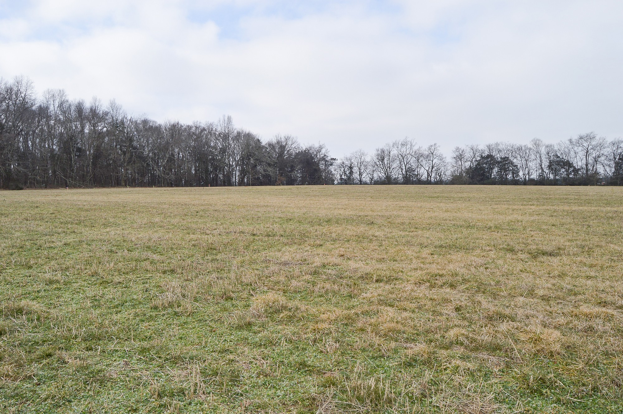 447 Pepper Hill Road Bell Buckle, TN 37020 - Photo 33 of 58 Gallery Image 33