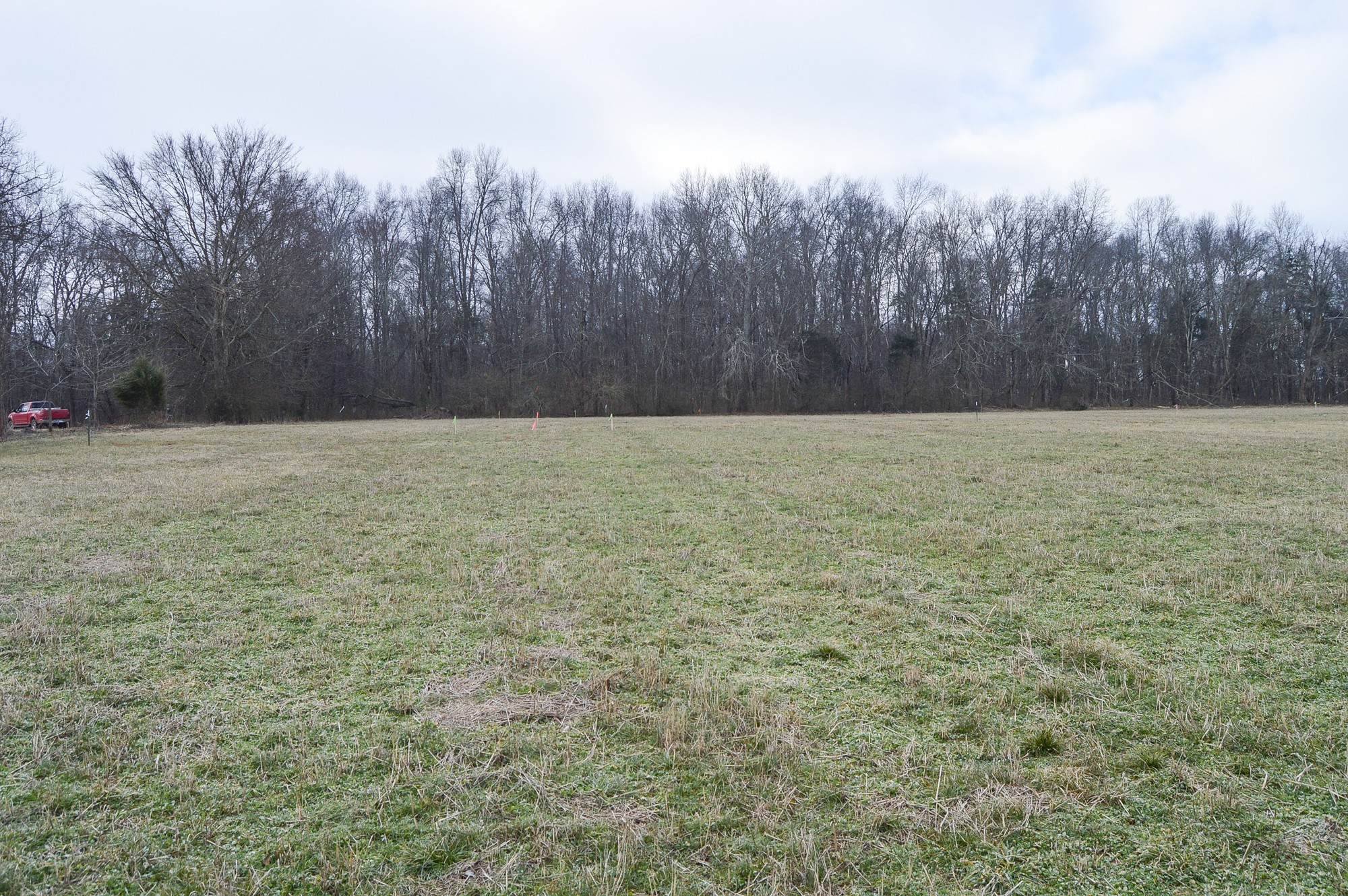 447 Pepper Hill Road Bell Buckle, TN 37020 - Photo 34 of 58 Gallery Image 34