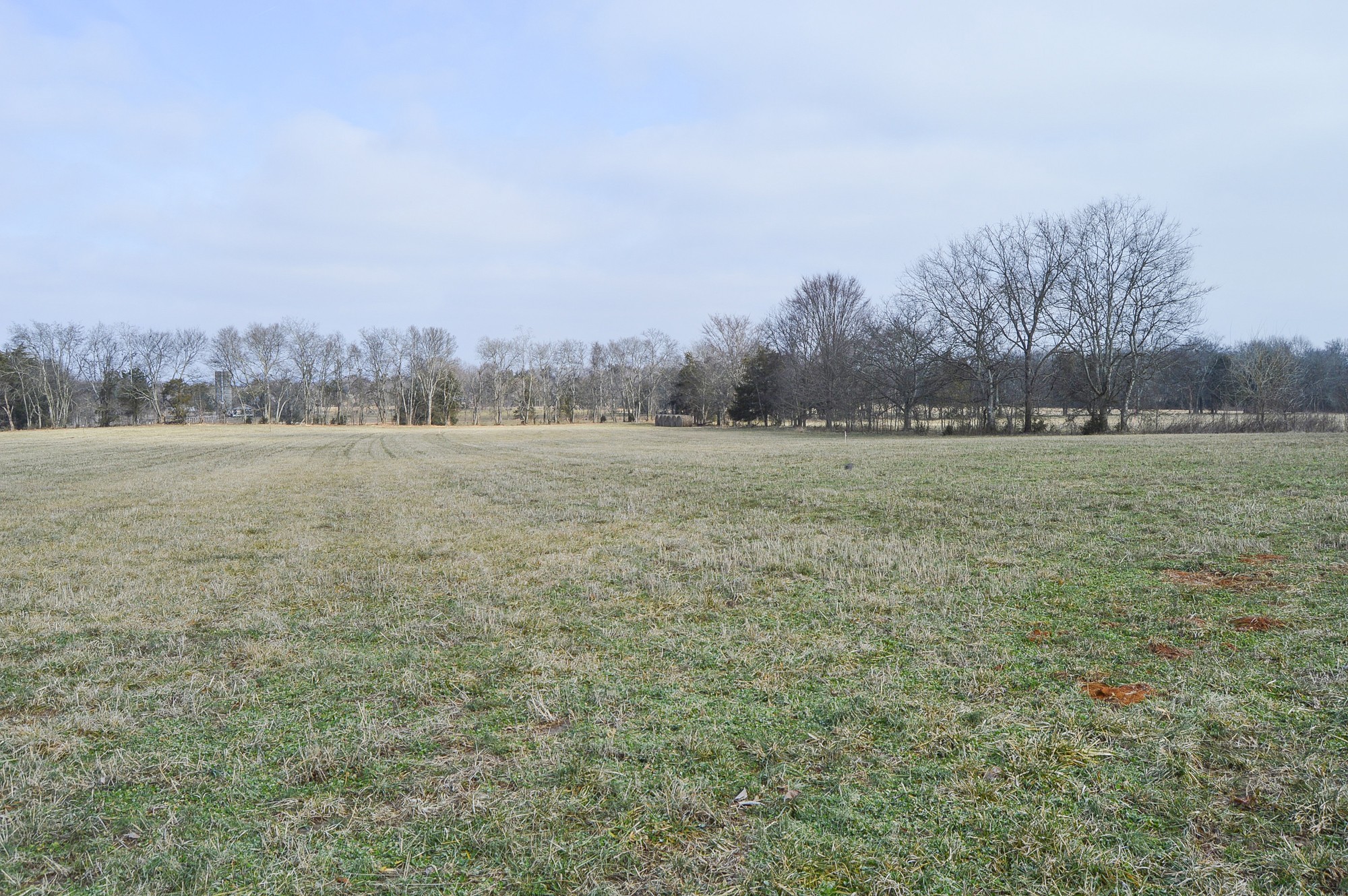 447 Pepper Hill Road Bell Buckle, TN 37020 - Photo 42 of 58 Gallery Image 42