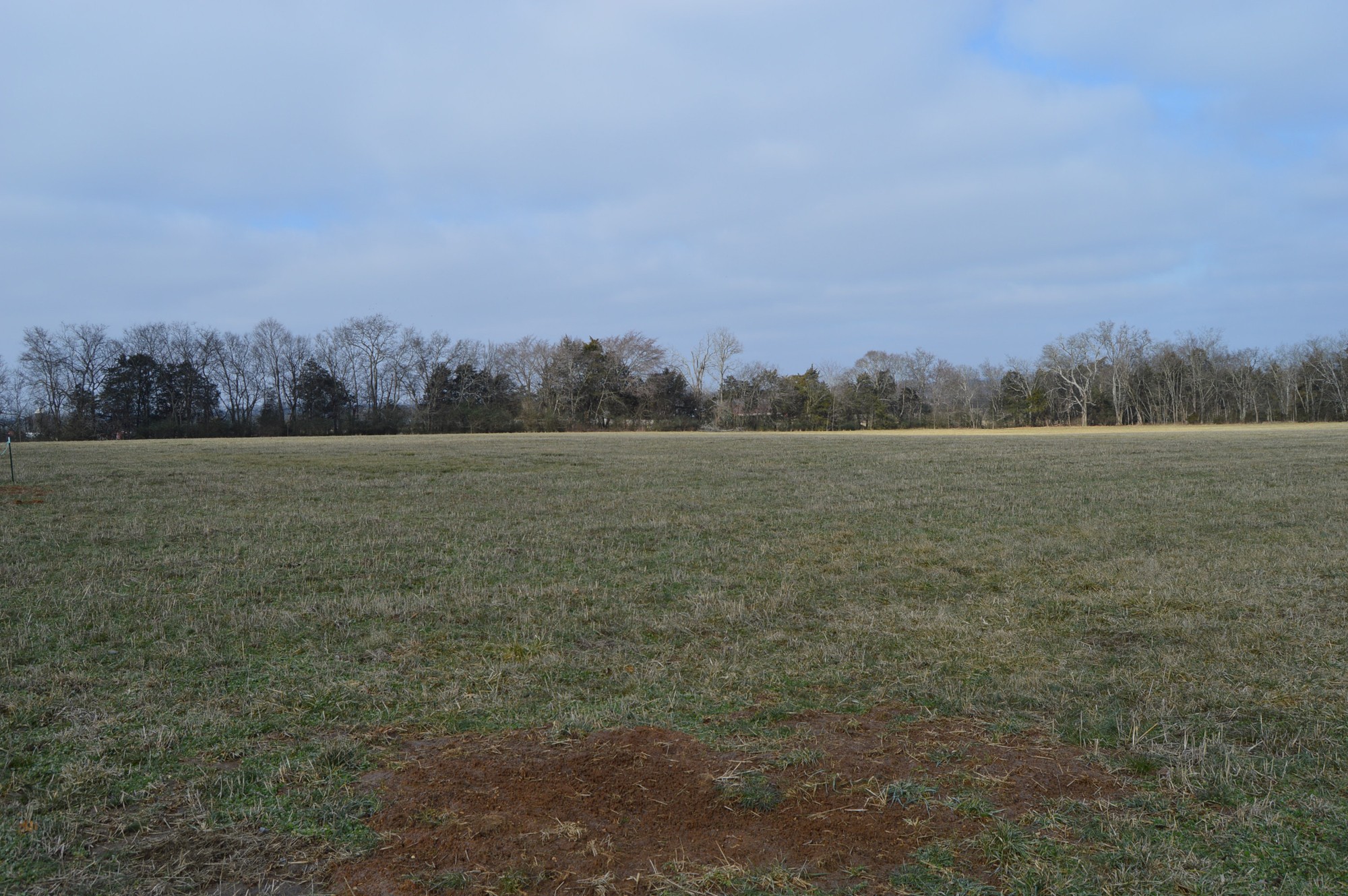 447 Pepper Hill Road Bell Buckle, TN 37020 - Photo 44 of 58 Gallery Image 44