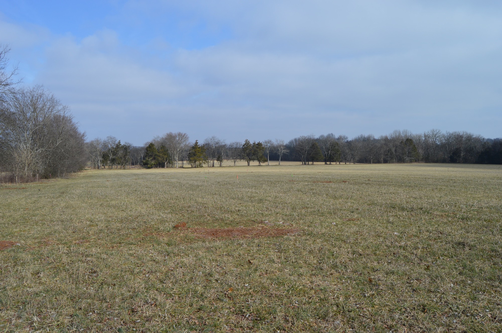 447 Pepper Hill Road Bell Buckle, TN 37020 - Photo 45 of 58 Gallery Image 45
