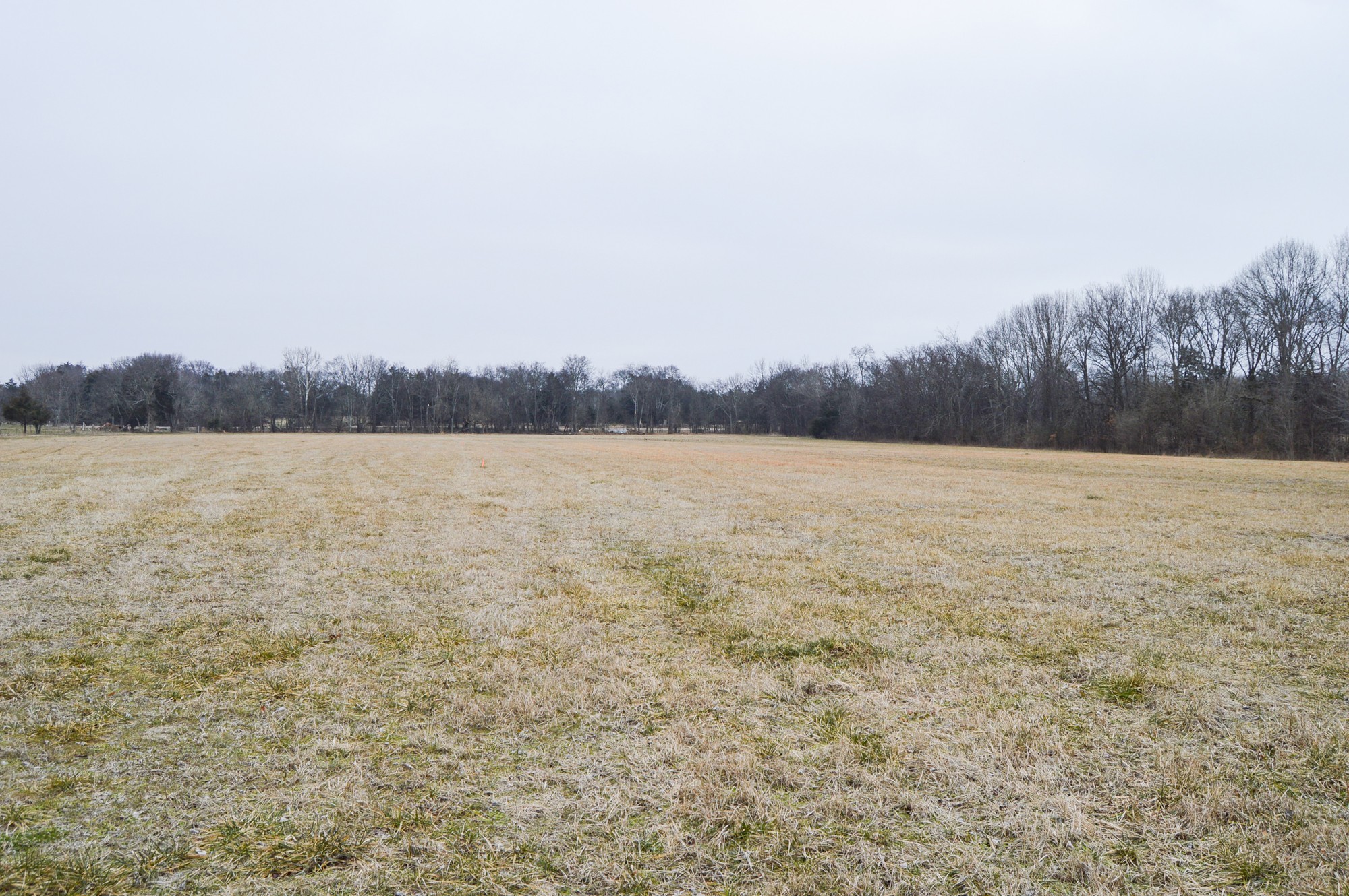 447 Pepper Hill Road Bell Buckle, TN 37020 - Photo 6 of 58 Gallery Image 6