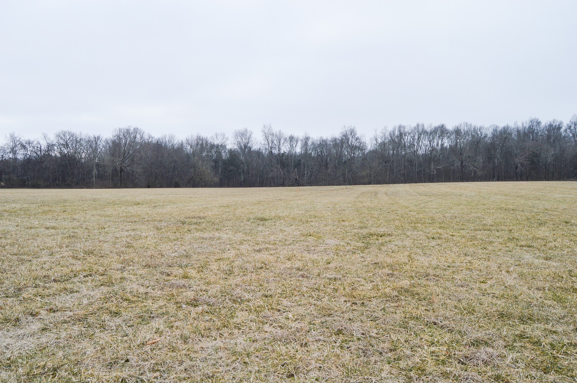 447 Pepper Hill Road Bell Buckle, TN 37020 - Photo 8 of 58 Gallery Image 8