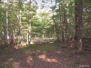 6830 Chambers Road Millington, MI 48746 - Photo 23 of 25 property- great hunting (5)
