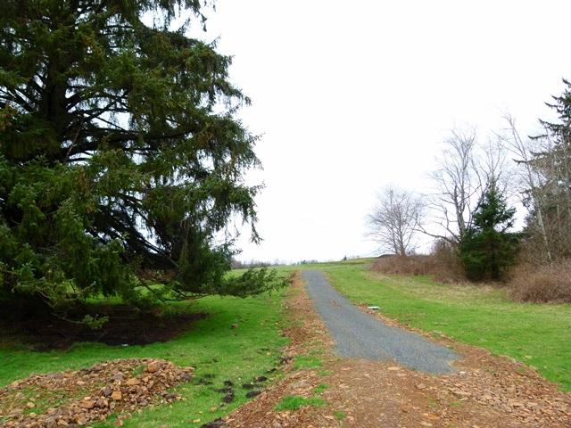 Tl#1008 Bel Air Road Cloverdale, OR 97112 - Photo 7 of 20 P1080344