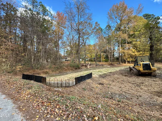 a view of a park with large trees