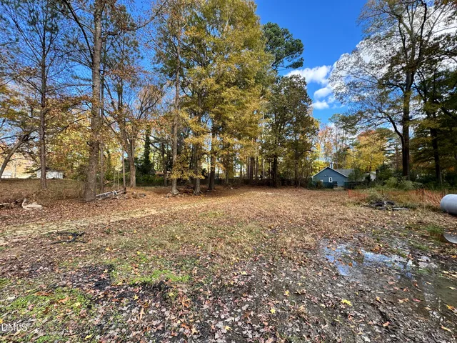 a view of yard with trees