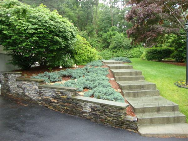 8 Winslow Road Chelmsford, MA 01824 - Photo 19 of 27