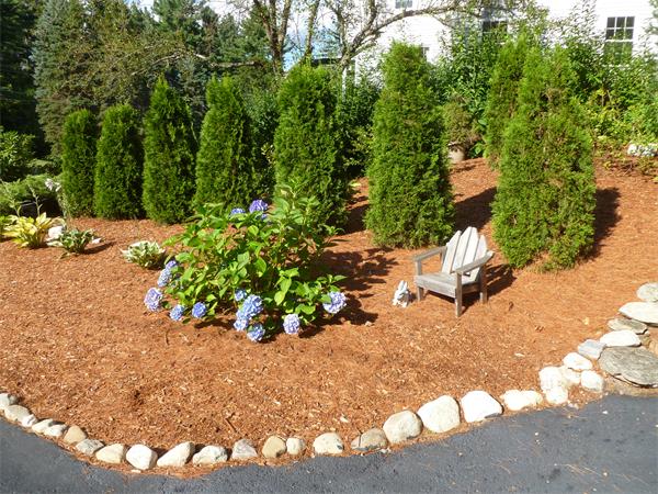 8 Winslow Road Chelmsford, MA 01824 - Photo 20 of 27