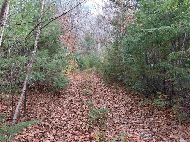 $105,000 | 5-1 Middleton Road, Milton, NH 03851