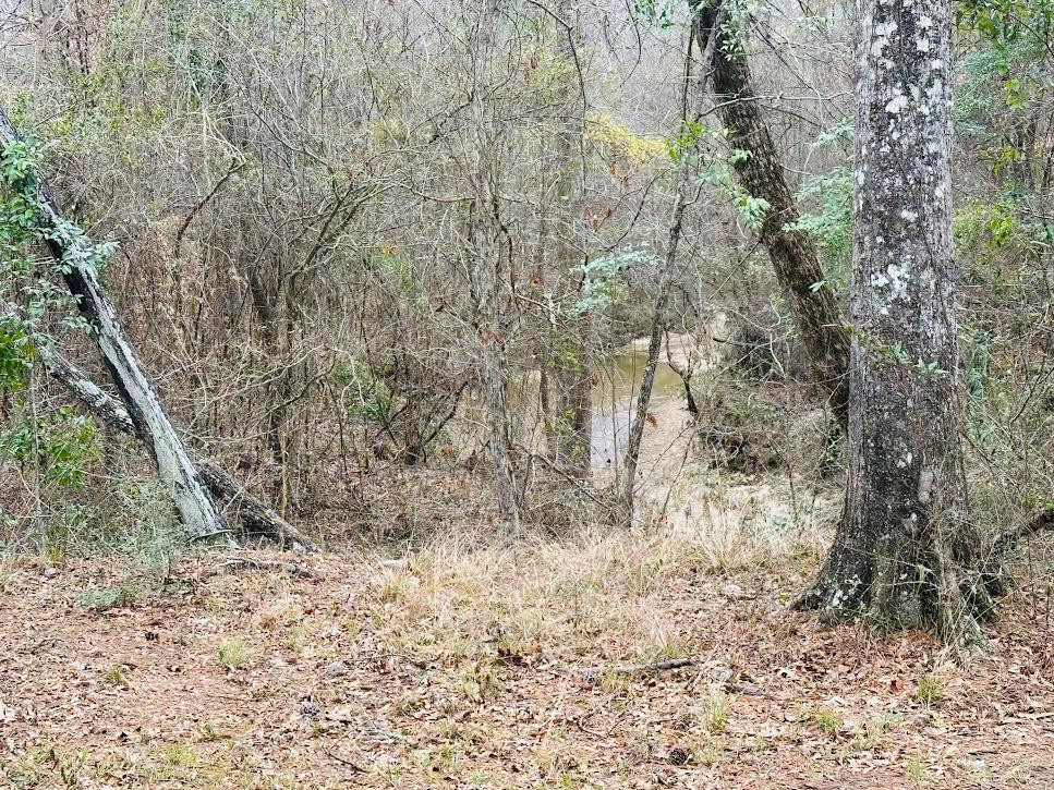 680 New Zion Road Monticello, MS 39654 - Photo 17 of 26 Photo 17