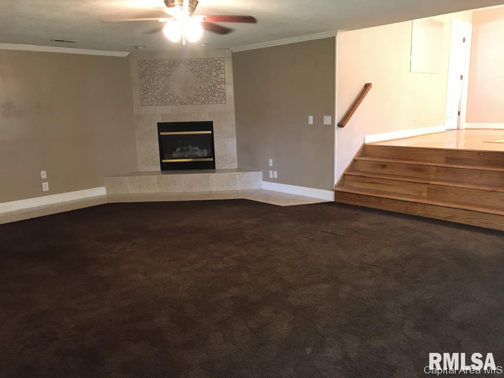 614 South Wesley Street Springfield, IL 62703 - Photo 10 of 20