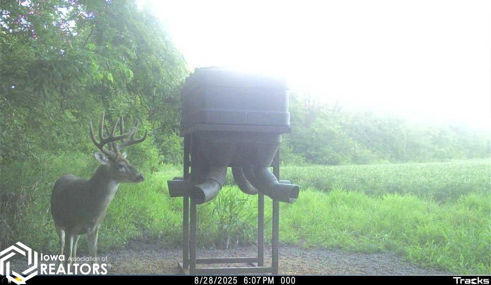 26845 County Road R52 Leon, IA 50144 - Photo 7 of 92 Gallery Image 7