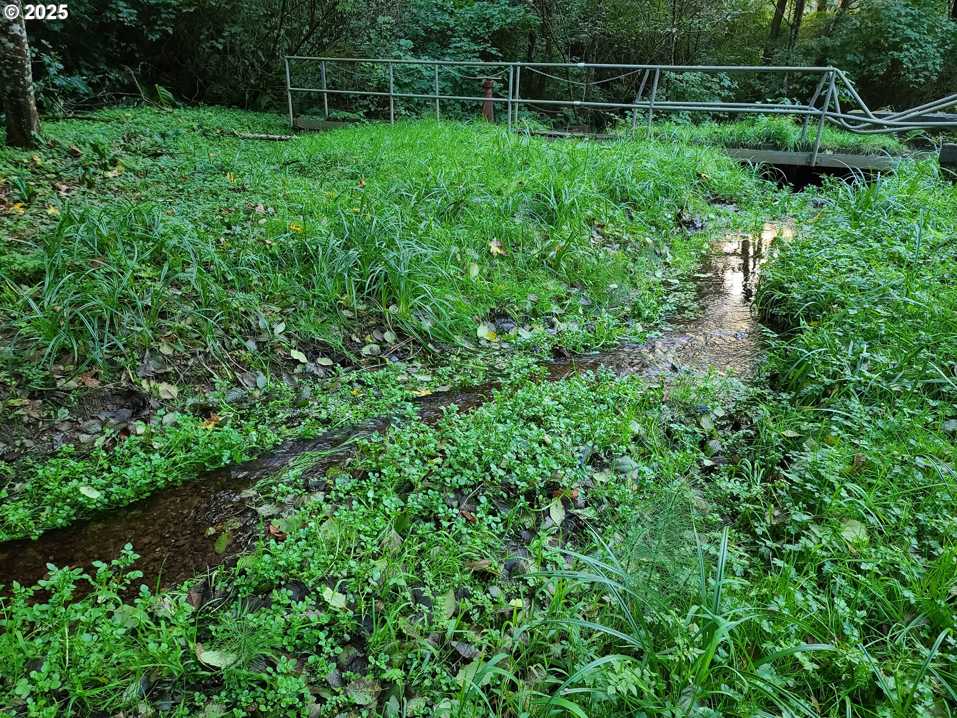 0 Ruth Road, Unit 700 North Bend, OR 97459 - Photo 14 of 23