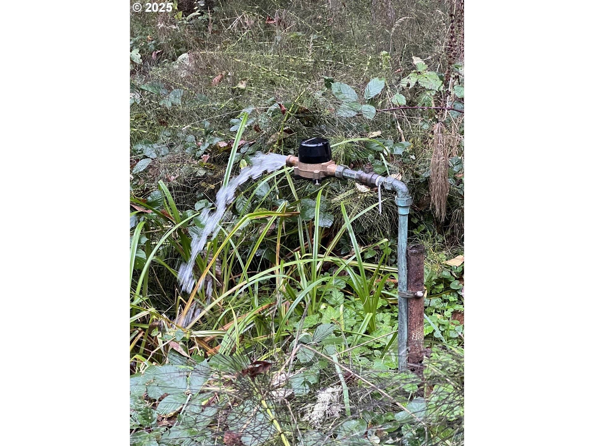 0 Ruth Road, Unit 700 North Bend, OR 97459 - Photo 15 of 23