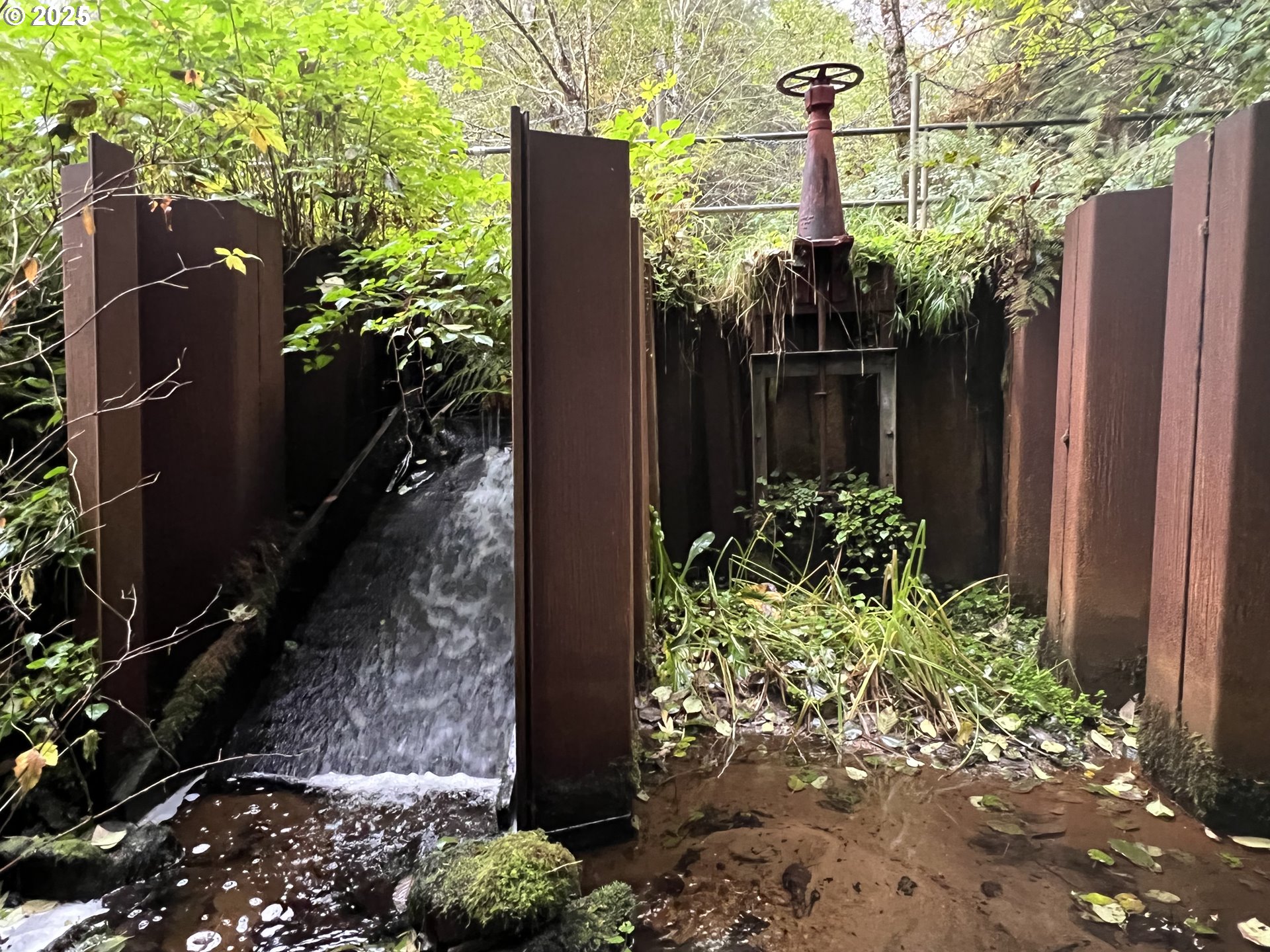 0 Ruth Road, Unit 700 North Bend, OR 97459 - Photo 16 of 23