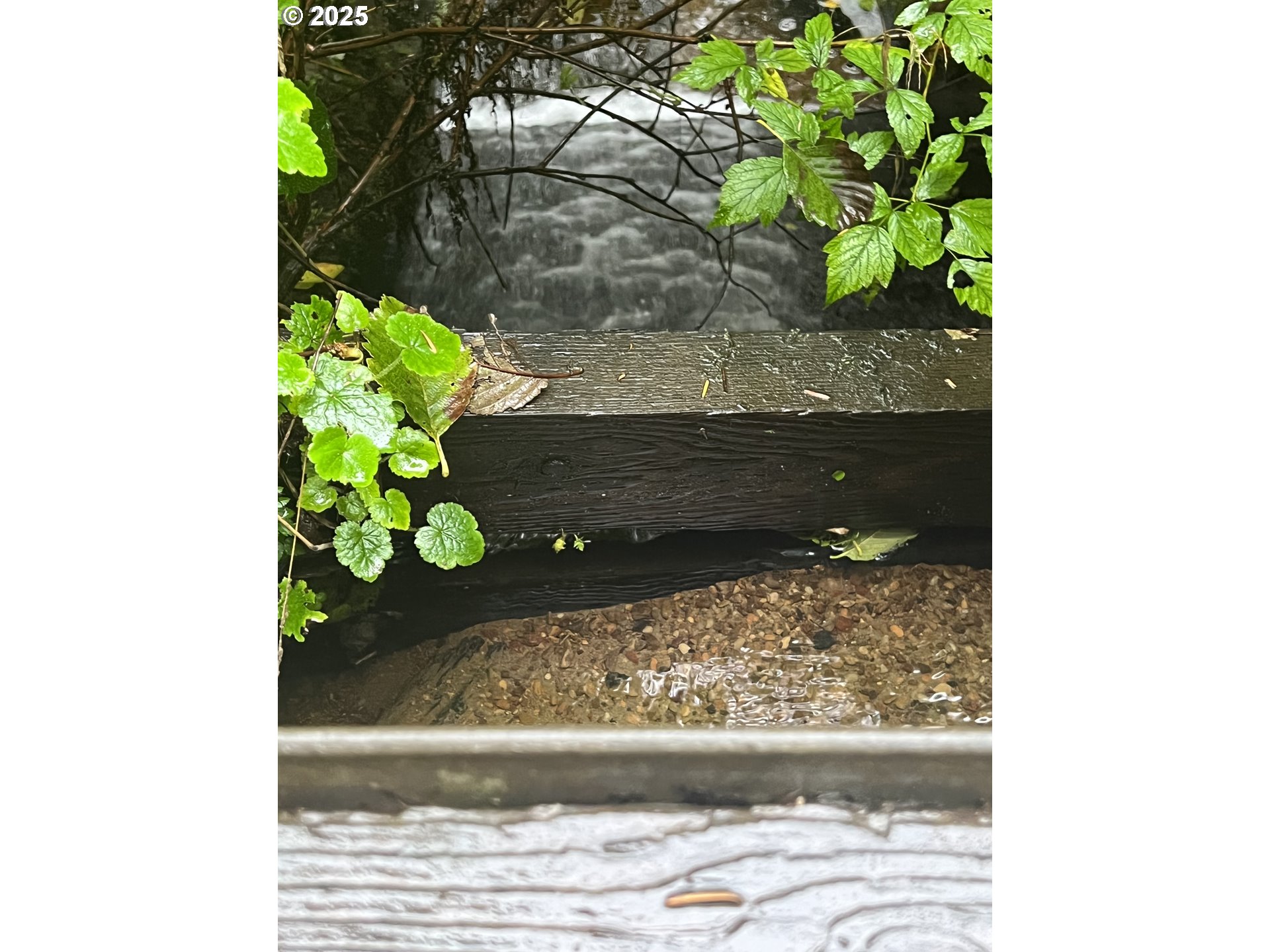 0 Ruth Road, Unit 700 North Bend, OR 97459 - Photo 19 of 23