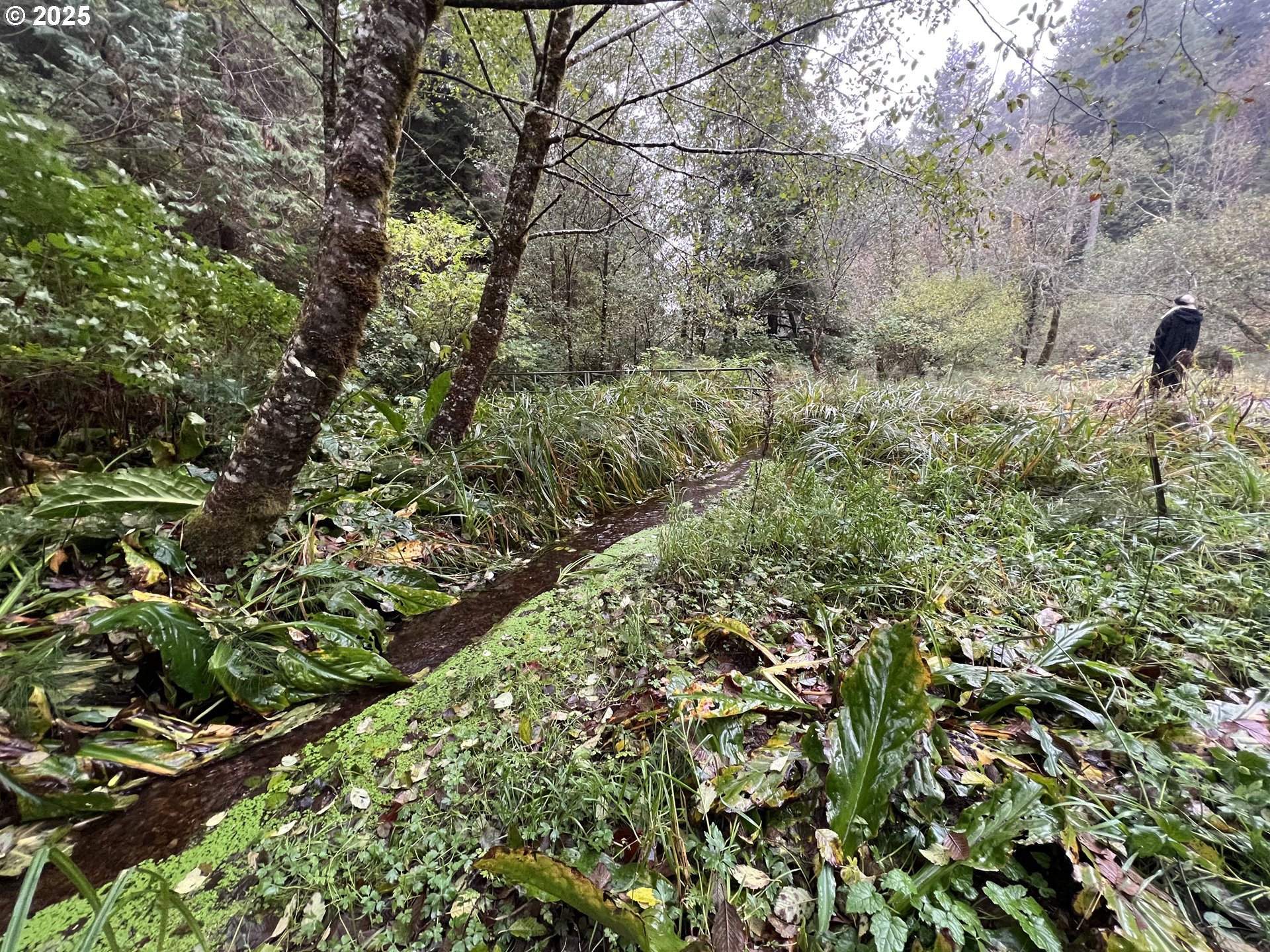 0 Ruth Road, Unit 700 North Bend, OR 97459 - Photo 22 of 23