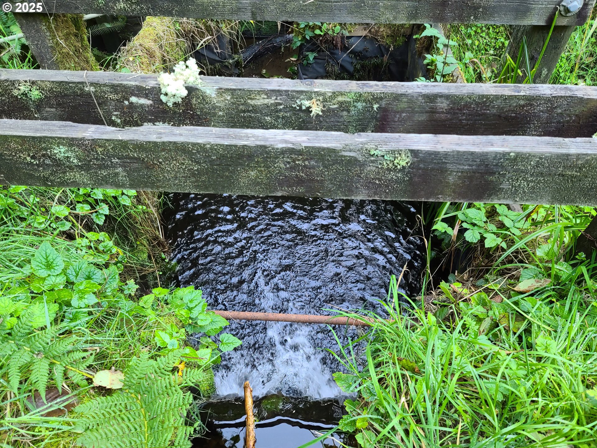 0 Ruth Road, Unit 700 North Bend, OR 97459 - Photo 3 of 23
