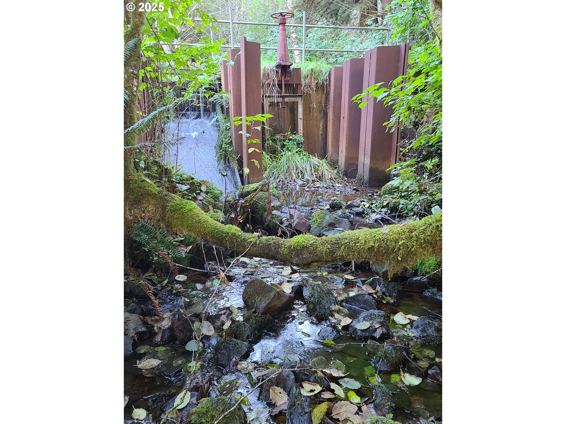 0 Ruth Road, Unit 700 North Bend, OR 97459 - Photo 4 of 23