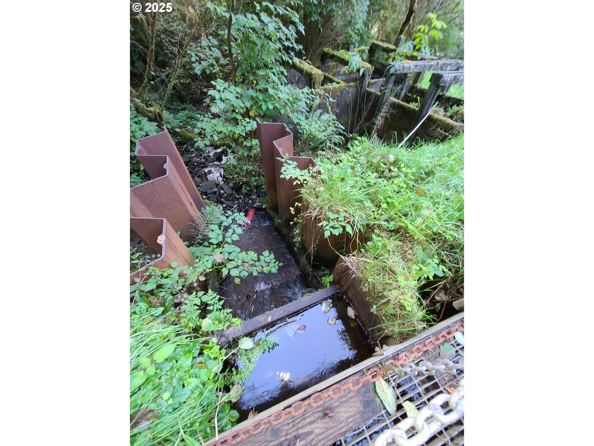 0 Ruth Road, Unit 700 North Bend, OR 97459 - Photo 5 of 23