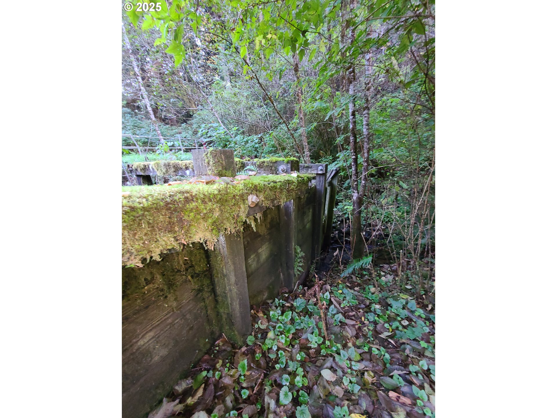 0 Ruth Road, Unit 700 North Bend, OR 97459 - Photo 7 of 23