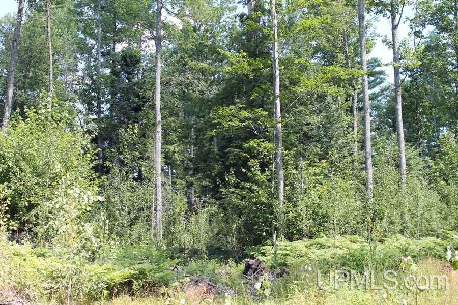 11281 Co Road Wetmore, MI 49895 - Photo 14 of 21