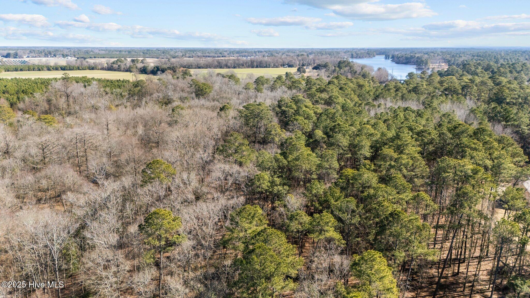 155 Fairmax Road Goldsboro, NC 27534 - Photo 14 of 24 12-web-or-mls-DJI_20250130130519_0257_D