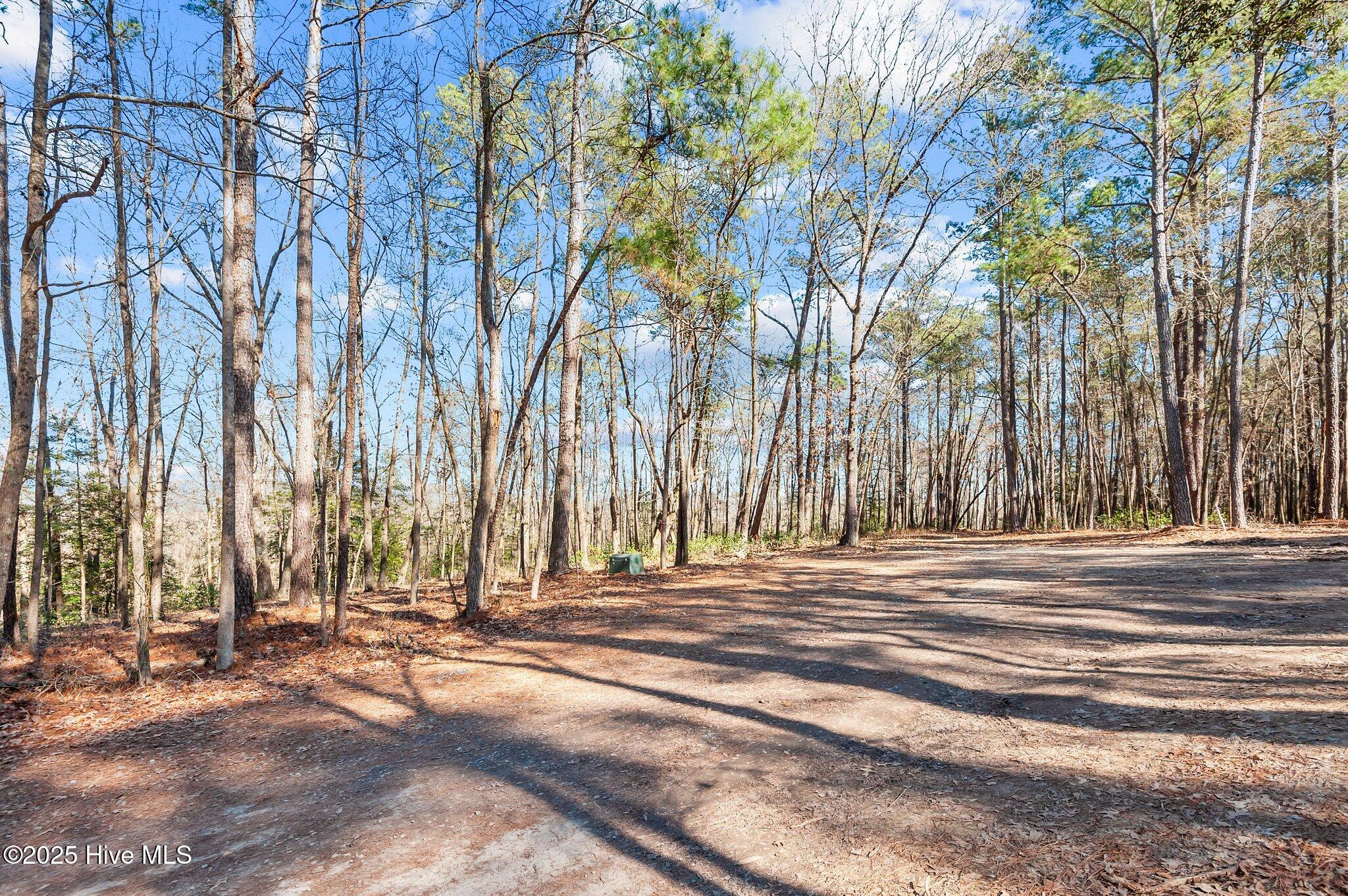 155 Fairmax Road Goldsboro, NC 27534 - Photo 18 of 24 17-web-or-mls-_DSC3501