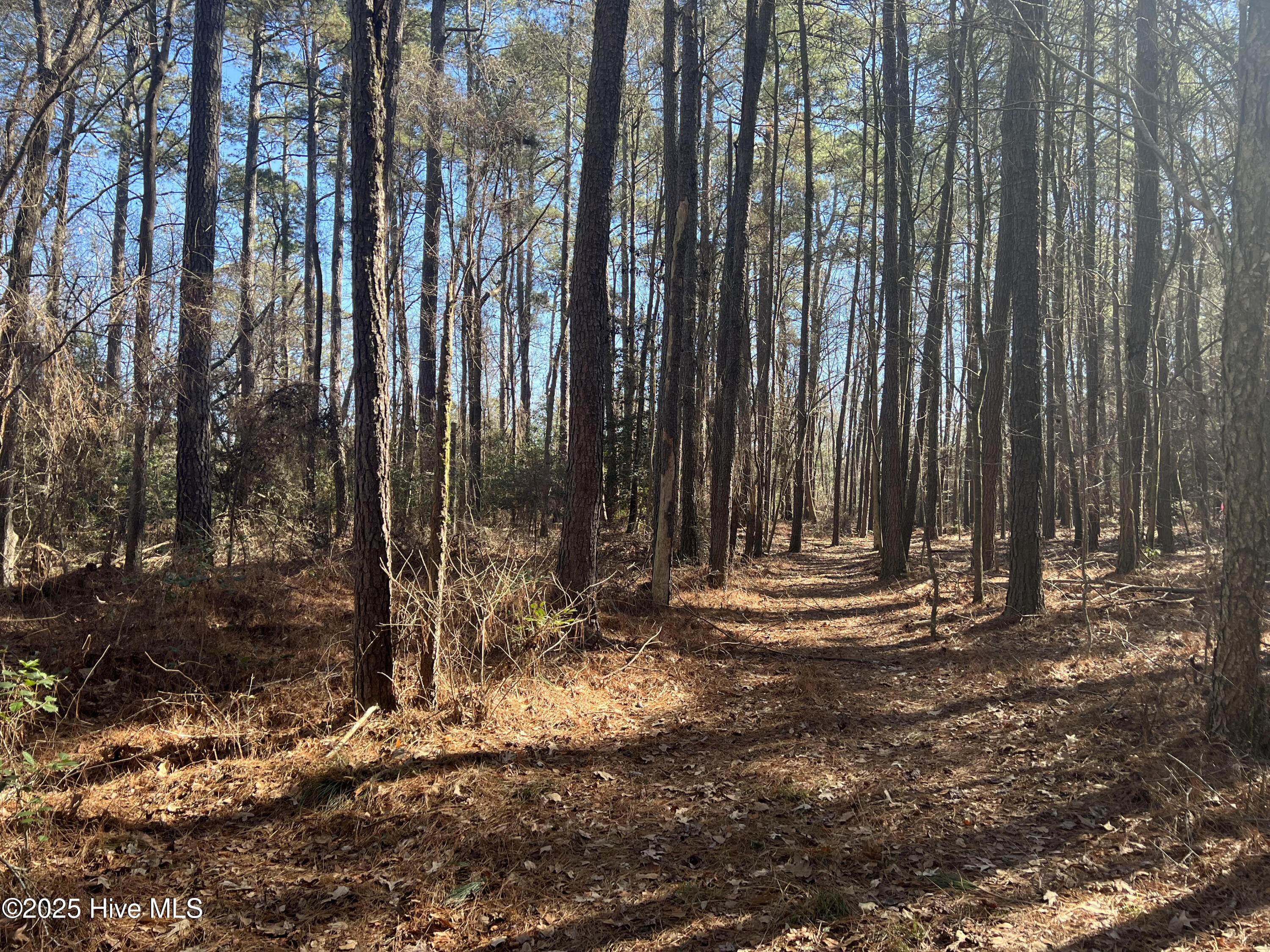 155 Fairmax Road Goldsboro, NC 27534 - Photo 19 of 24 18