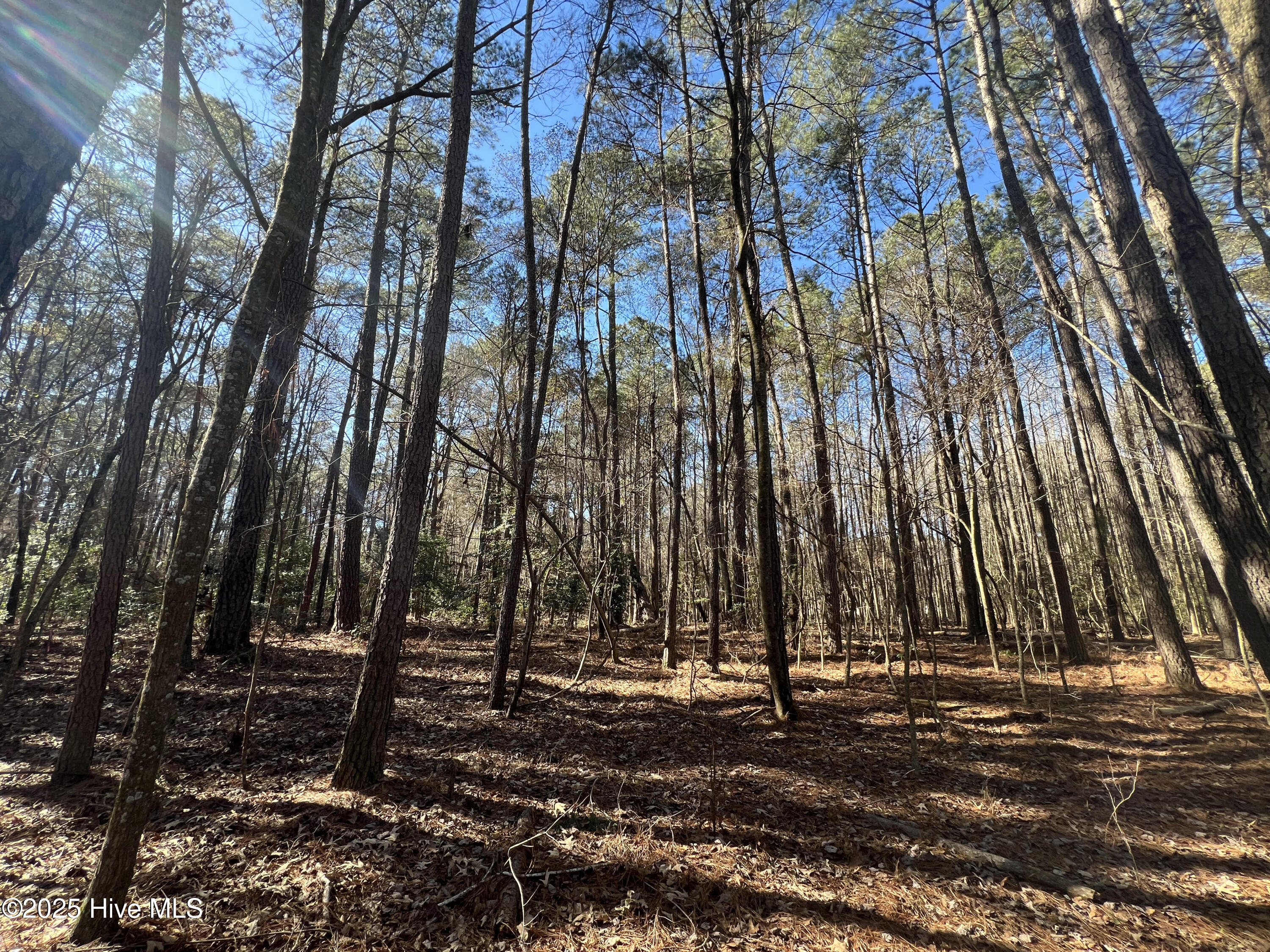 155 Fairmax Road Goldsboro, NC 27534 - Photo 22 of 24 22