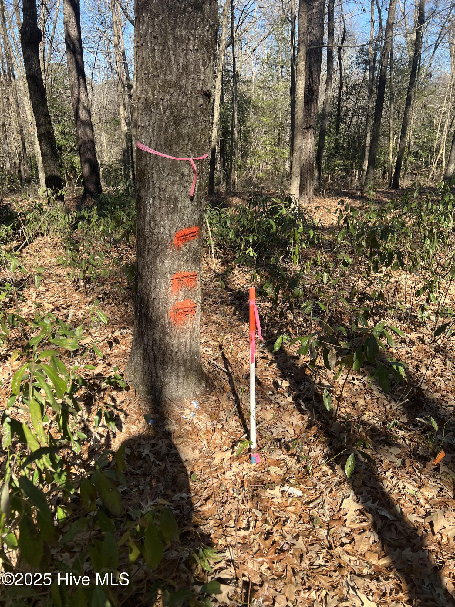 155 Fairmax Road Goldsboro, NC 27534 - Photo 23 of 24 23