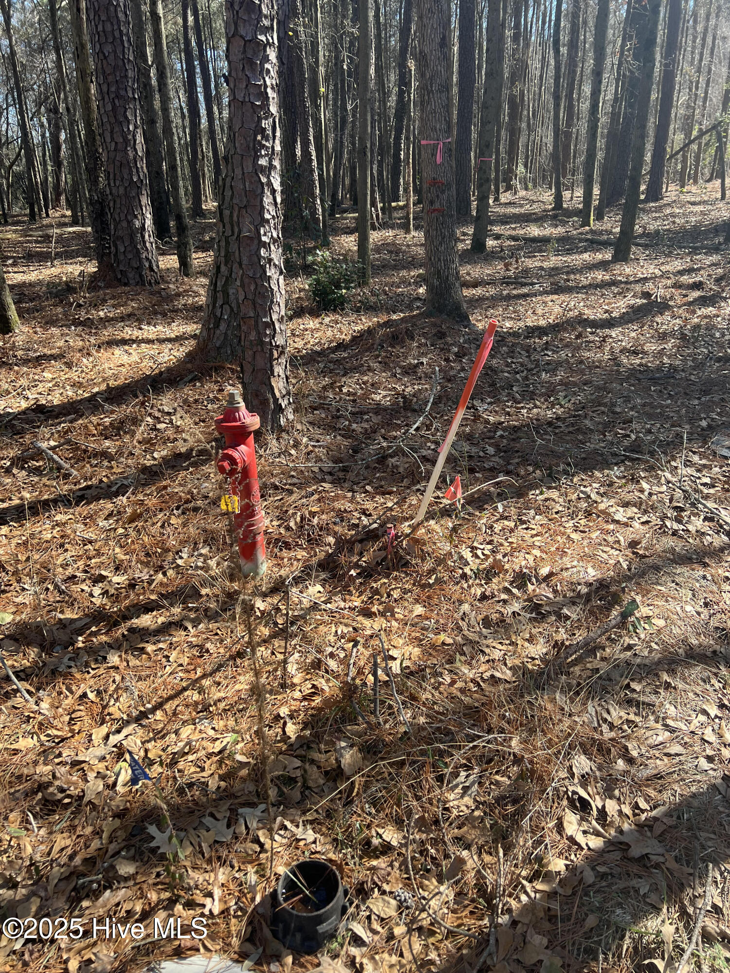 155 Fairmax Road Goldsboro, NC 27534 - Photo 24 of 24 24