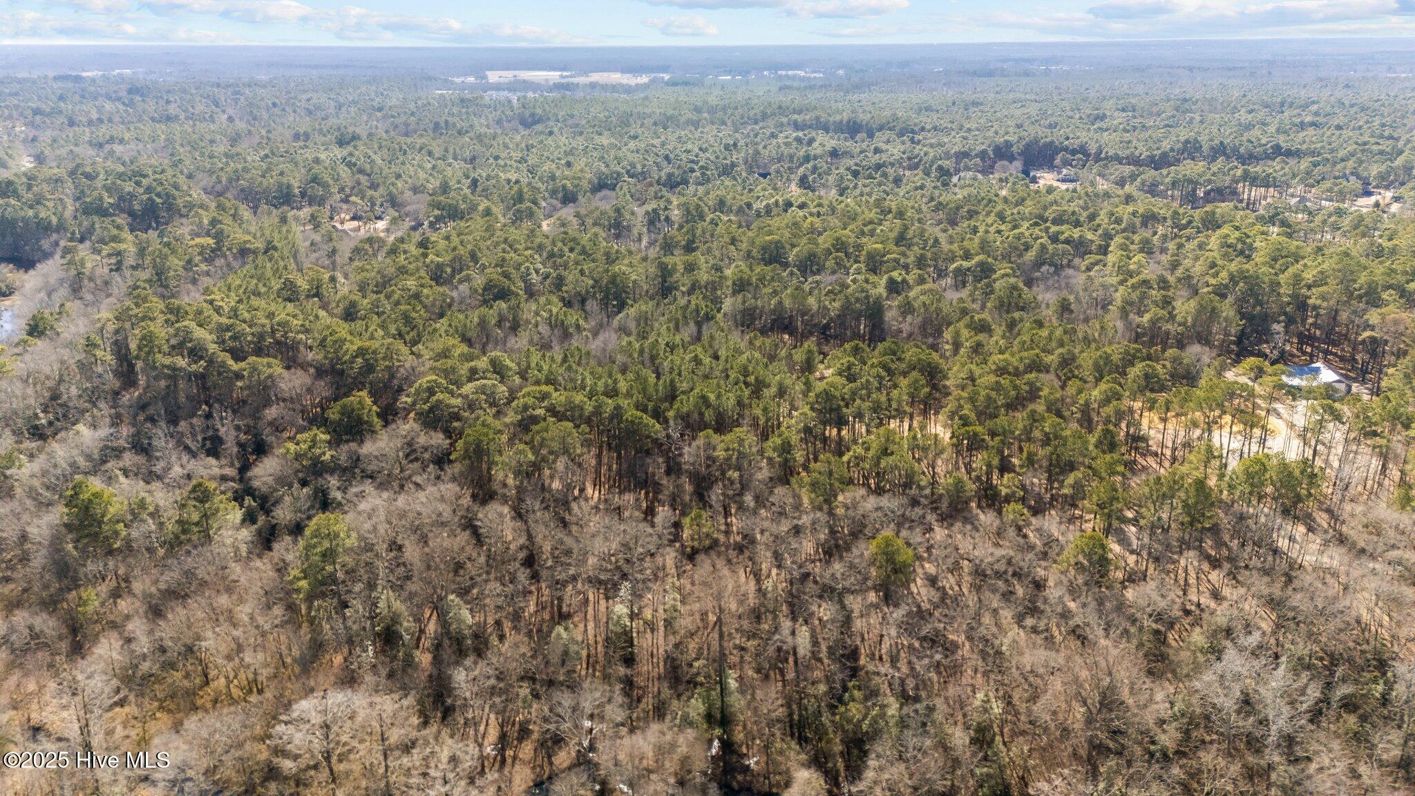 155 Fairmax Road Goldsboro, NC 27534 - Photo 6 of 24 4-web-or-mls-DJI_20250130125230_0245_D