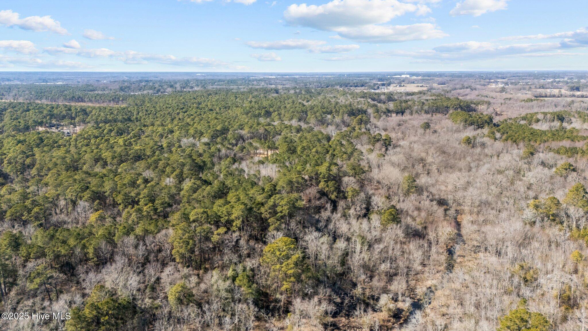 155 Fairmax Road Goldsboro, NC 27534 - Photo 8 of 24 6-web-or-mls-DJI_20250130125354_0247_D