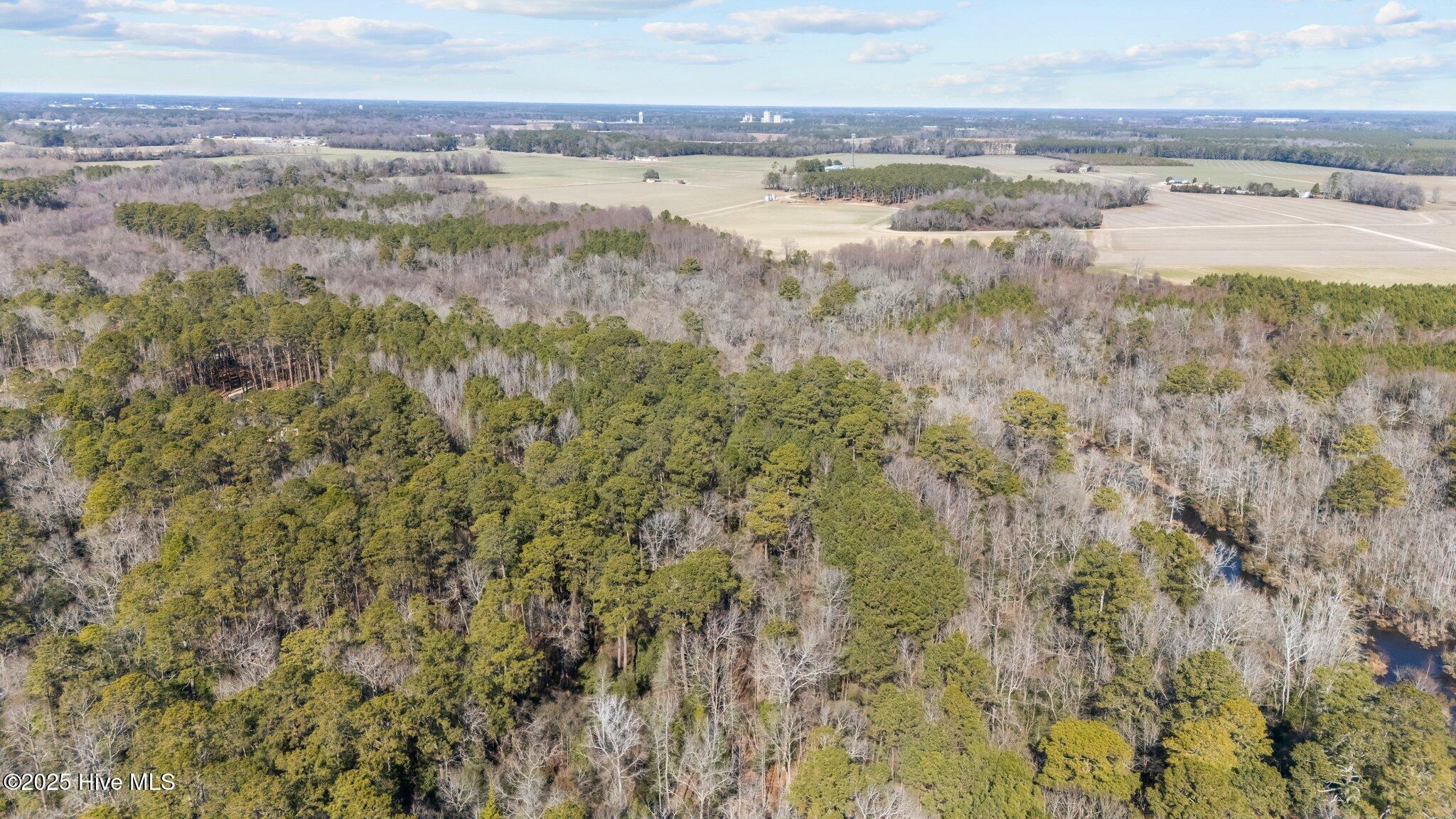 155 Fairmax Road Goldsboro, NC 27534 - Photo 9 of 24 7-web-or-mls-DJI_20250130125523_0249_D