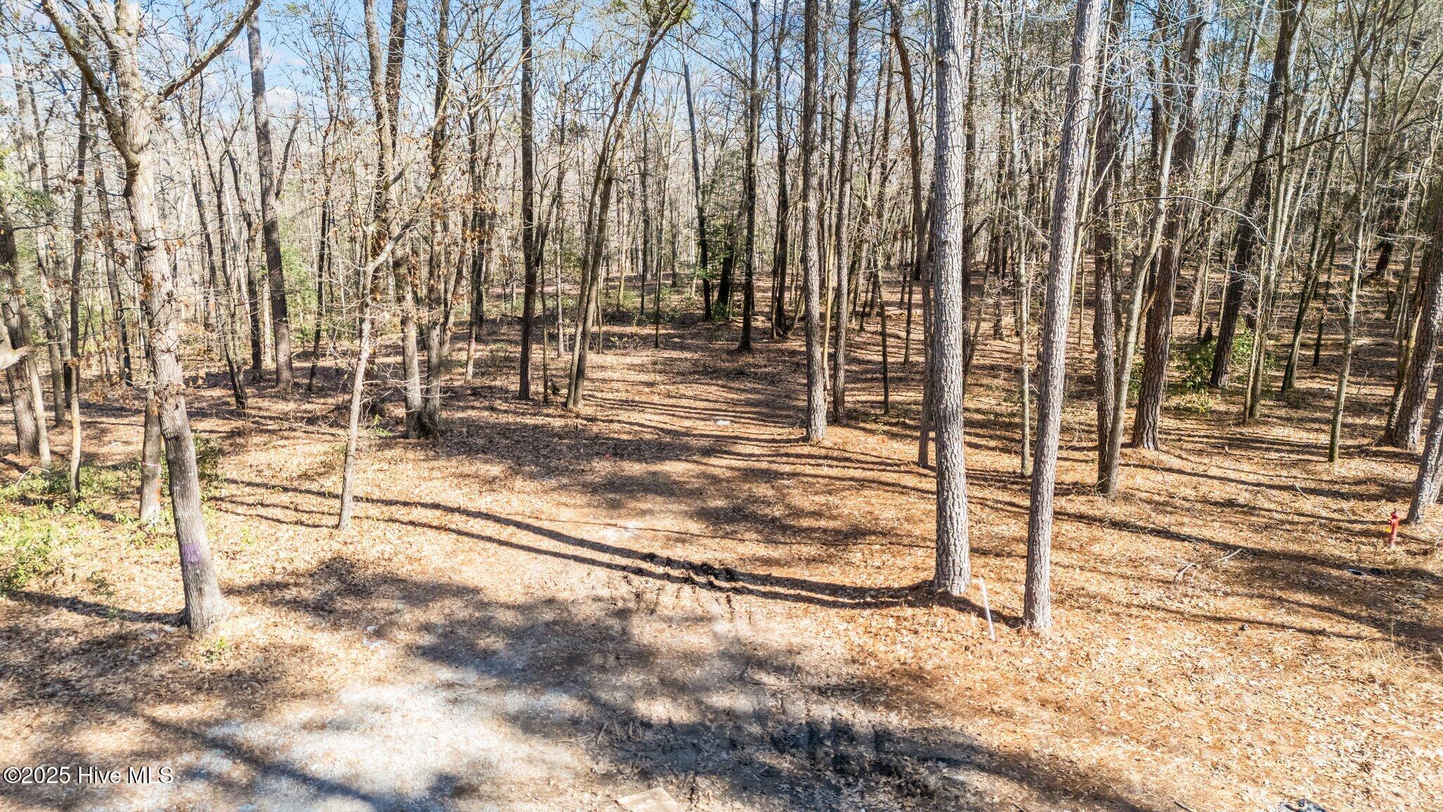 155 Fairmax Road Goldsboro, NC 27534 - Photo 10 of 24 8-web-or-mls-DJI_20250130125806_0250_D