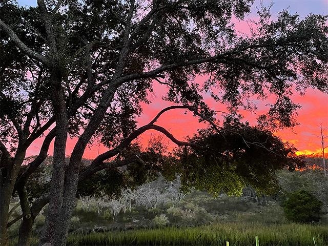 59 Nautica Way Georgetown, SC 29440 - Photo 37 of 51