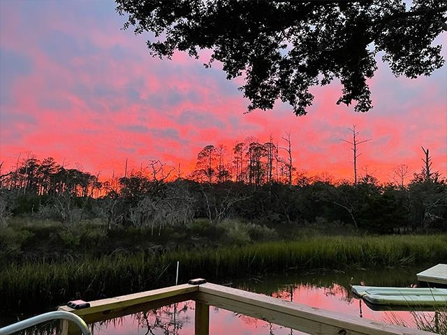 59 Nautica Way Georgetown, SC 29440 - Photo 7 of 51