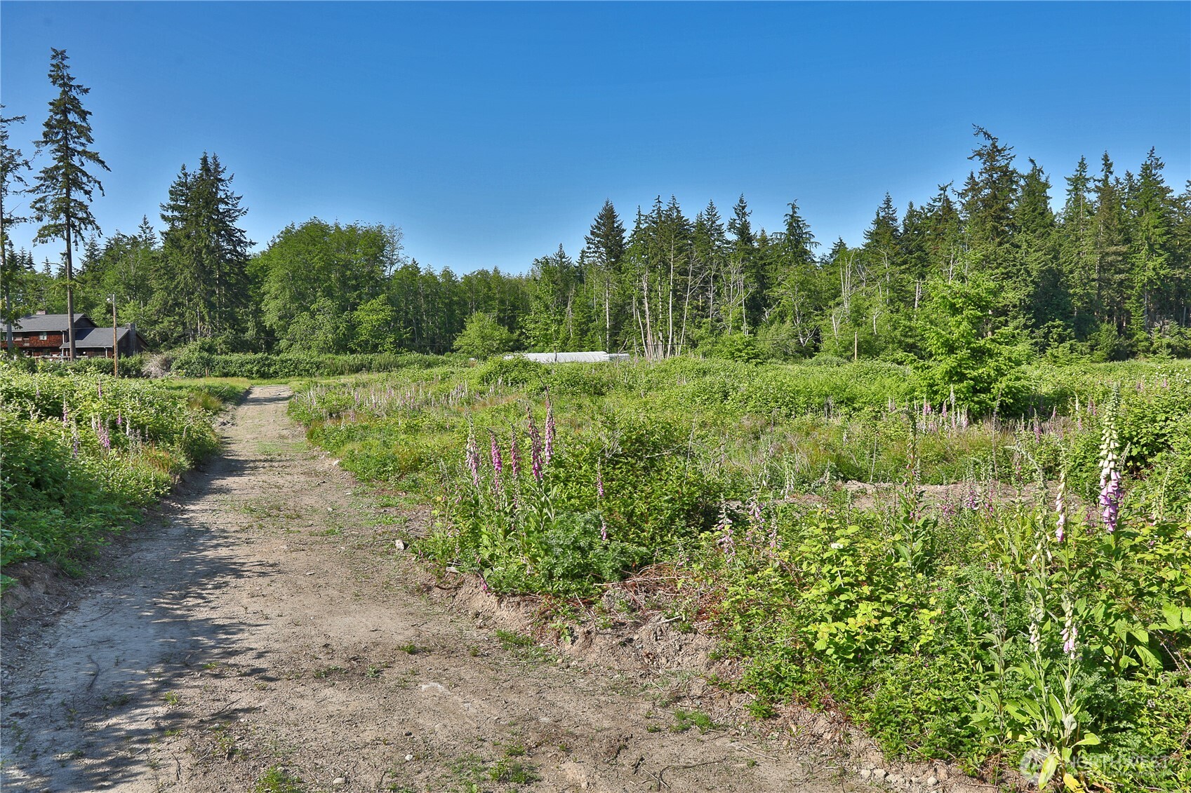 2062 East Goodell Road Freeland, WA 98249 - Photo 20 of 37