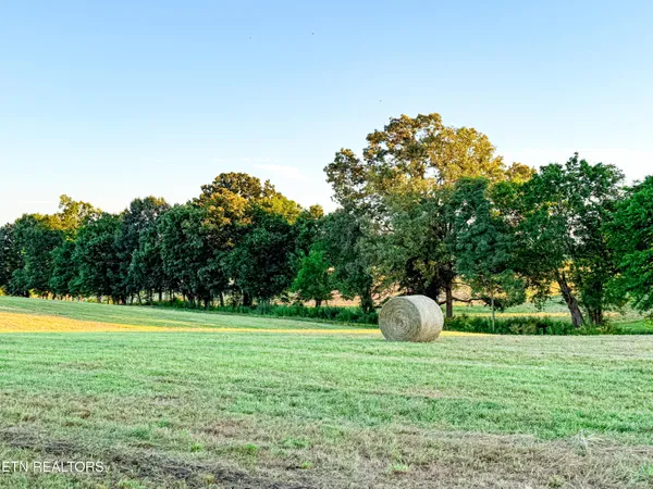 $99,900 | 6 Talbott-Kansas Road, Talbott, TN 37877