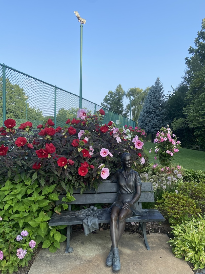 60 Baybrook Lane Oak Brook, IL 60523 - Photo 9 of 50 a view of a potted flower in a yard