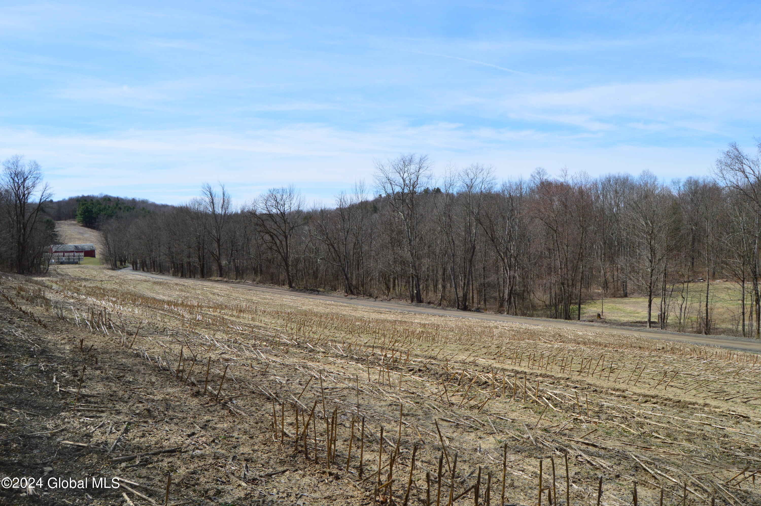 0 Saunders Road Argyle, NY 12809 - Photo 8 of 9 DSC_0032
