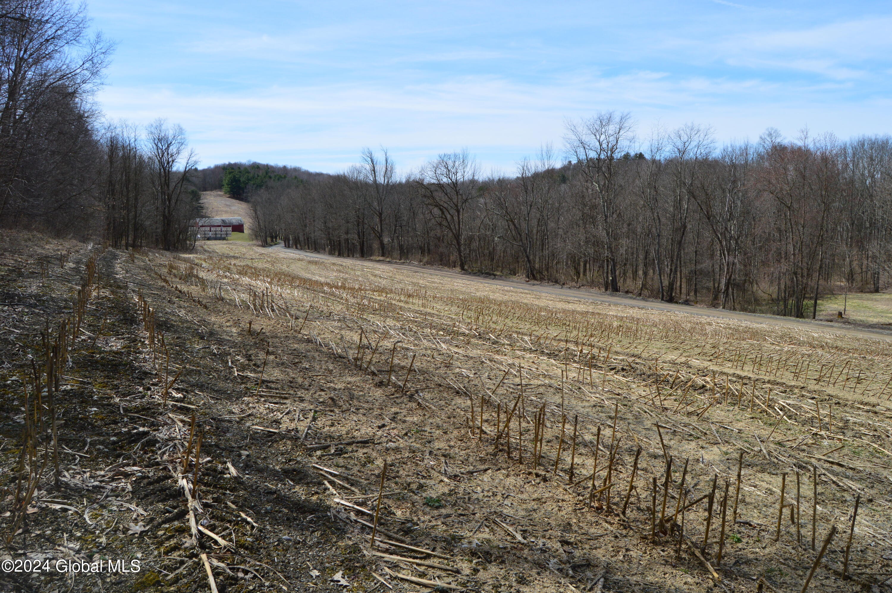 0 Saunders Road Argyle, NY 12809 - Photo 9 of 9 DSC_0034